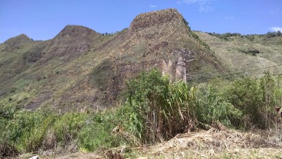 img_20161215_104340059